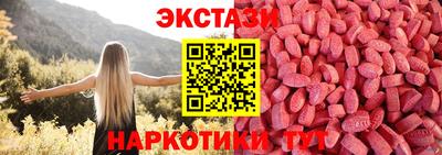 мет Кингисепп