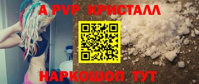 мет Кингисепп