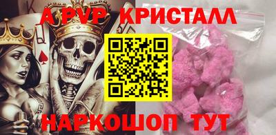 мет Кингисепп