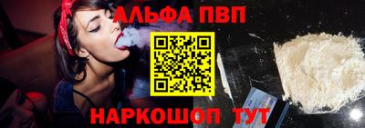 мет Кингисепп