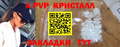 мет Кингисепп