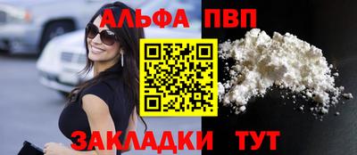 мет Кингисепп
